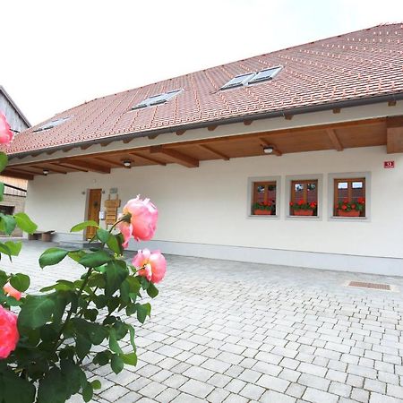 Apartments Vrdjan Cerknica Exterior photo