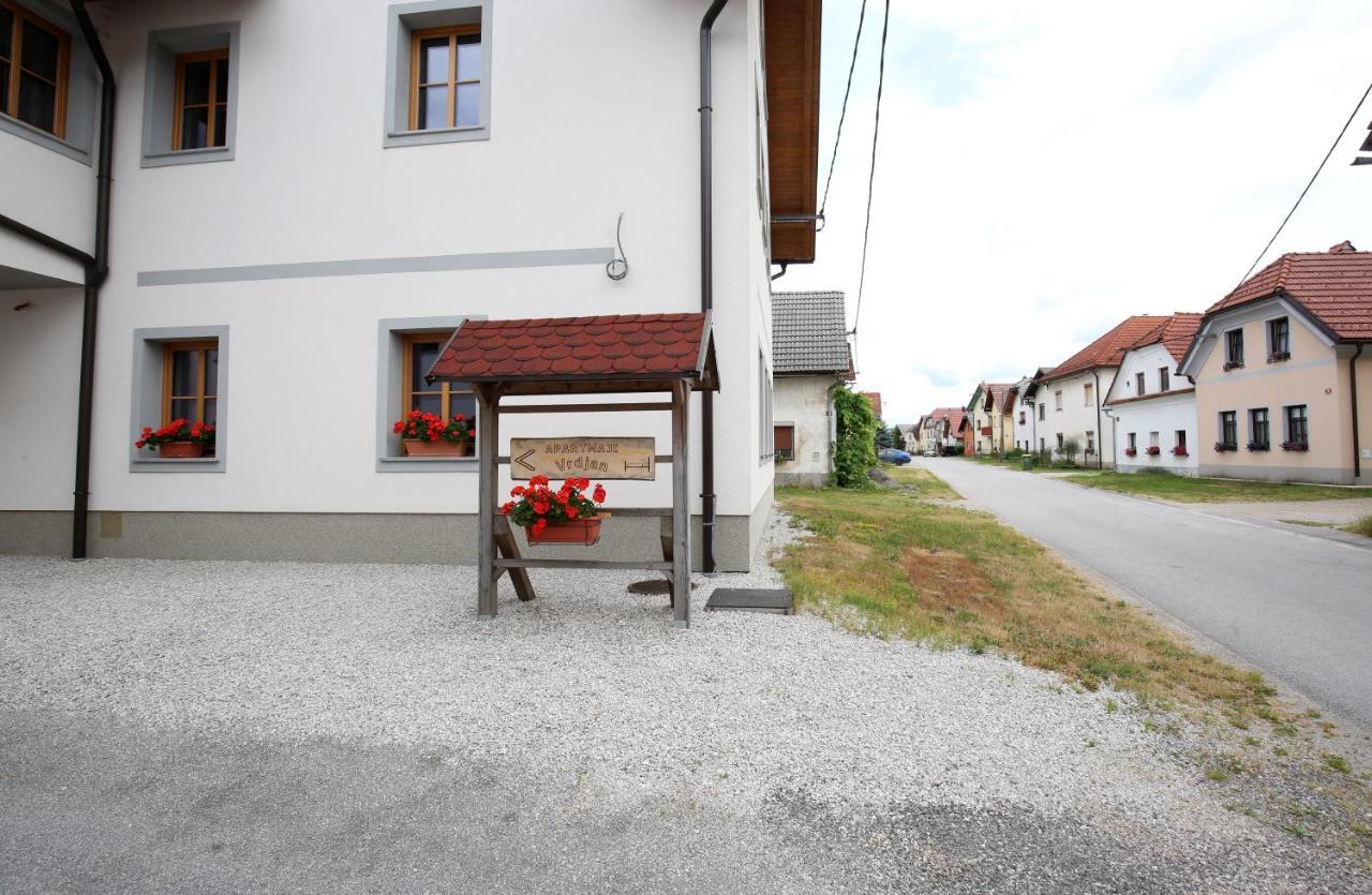 Apartments Vrdjan Cerknica Exterior photo