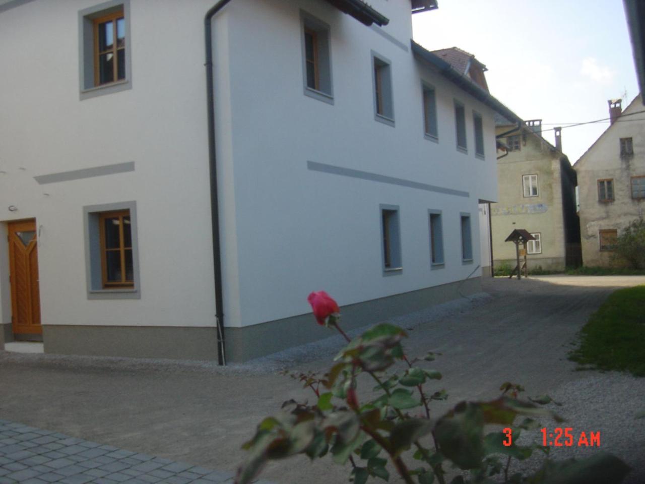 Apartments Vrdjan Cerknica Exterior photo